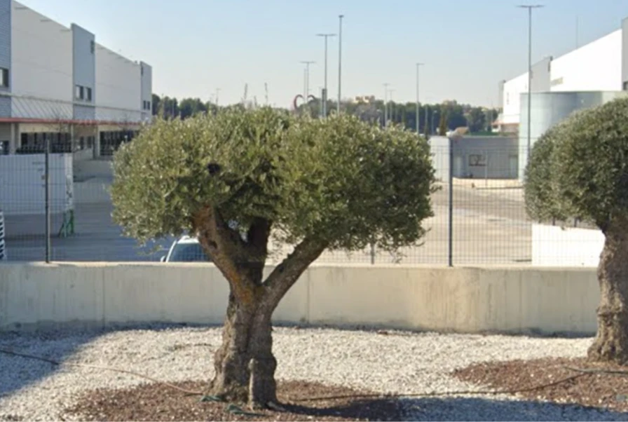 Polígono Industrial
Casablanca - Edificio A - 9.671,68 m²