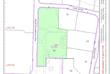 Solar En Calle Alejandro Goicochea 1